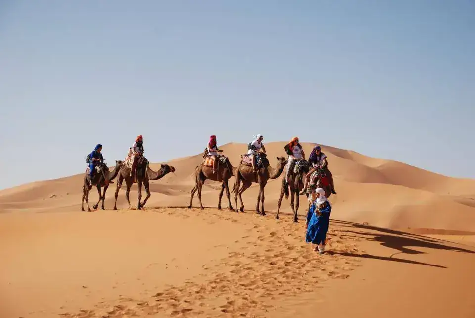 Line of camels along a dune ridge