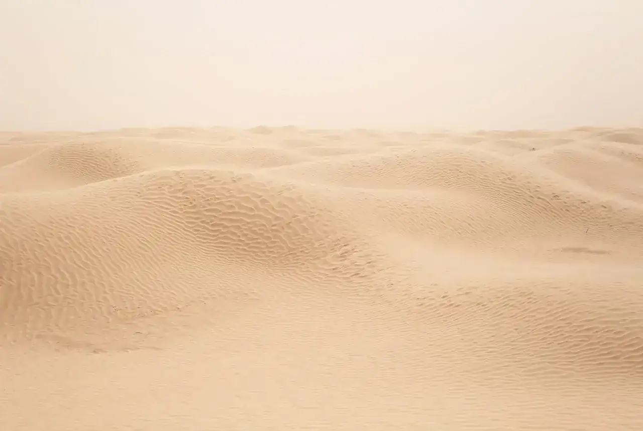 Close view of warm, fine Sahara sand